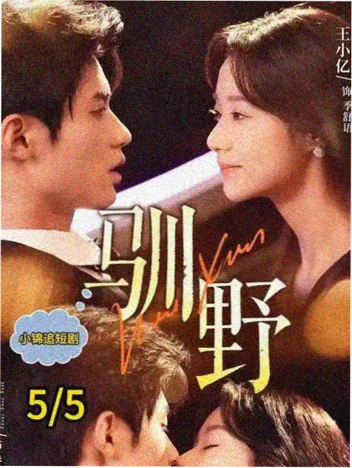 西部世界 电视剧排行榜
